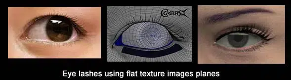 23_eye_lash(1) 23 eye lash1