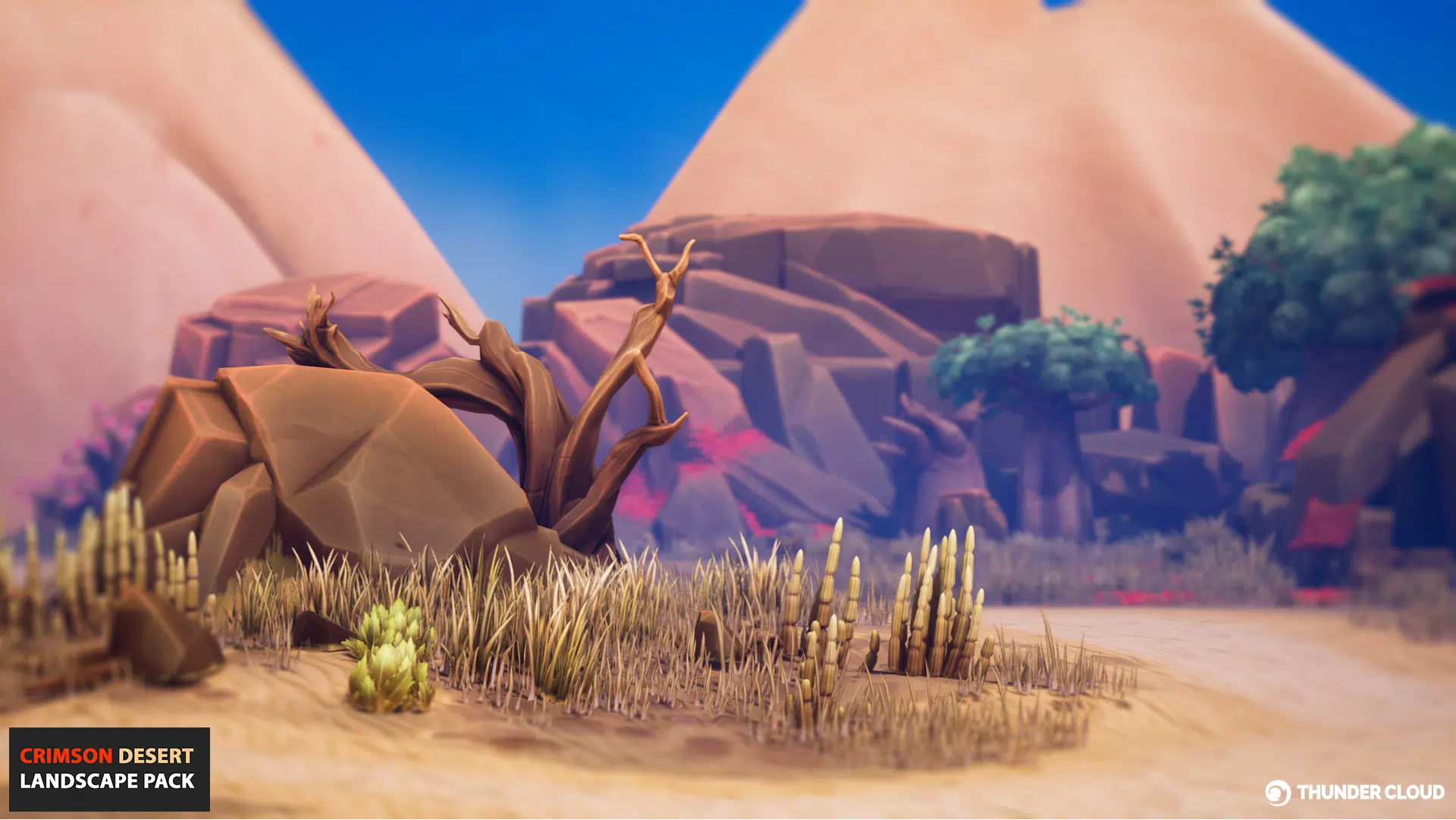 LargeScene_mainImage2_deli 3D Asset Crimson Desert pack