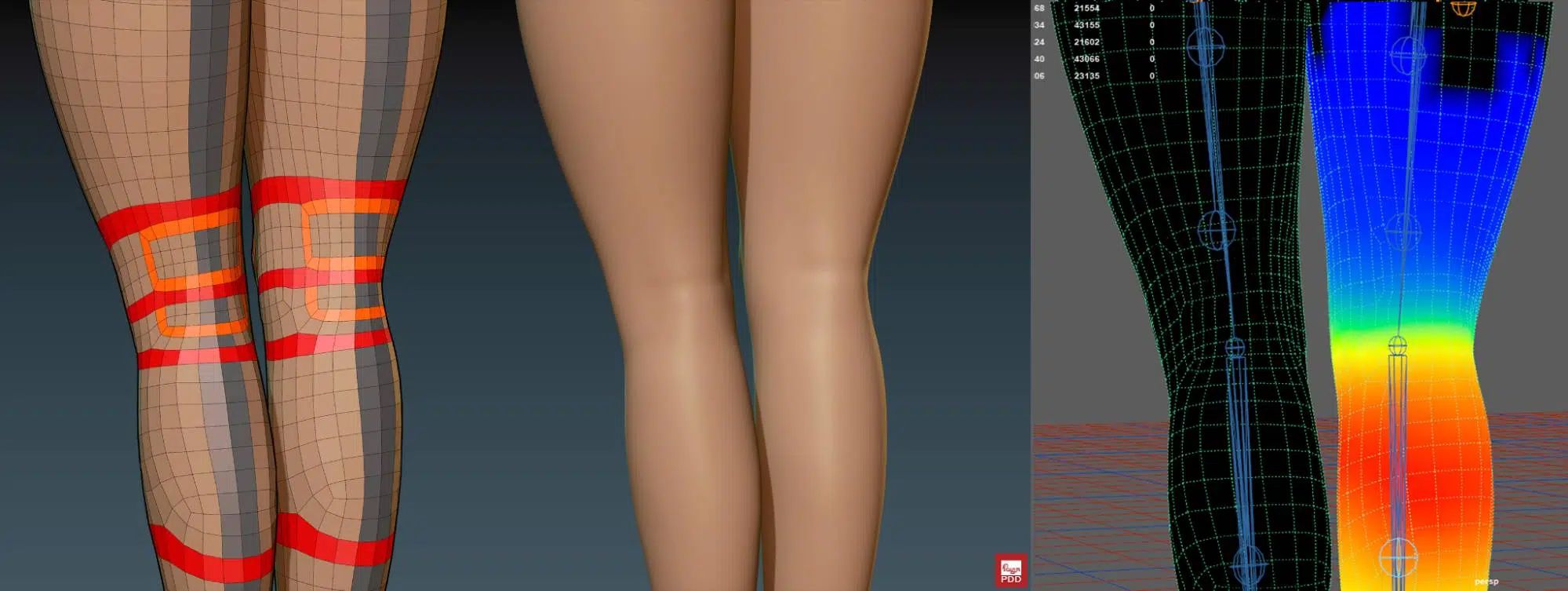 Back knees