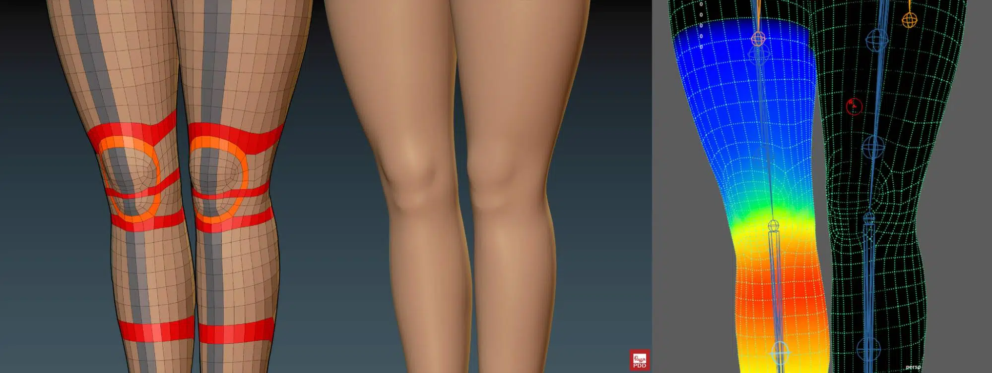 Front knees