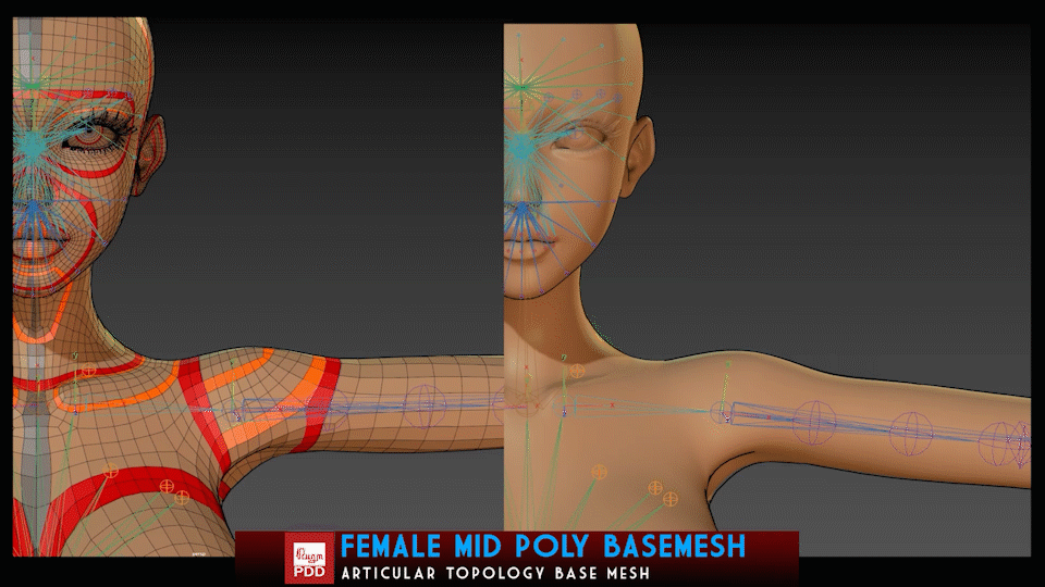 Demo of armpit-shoulder movement